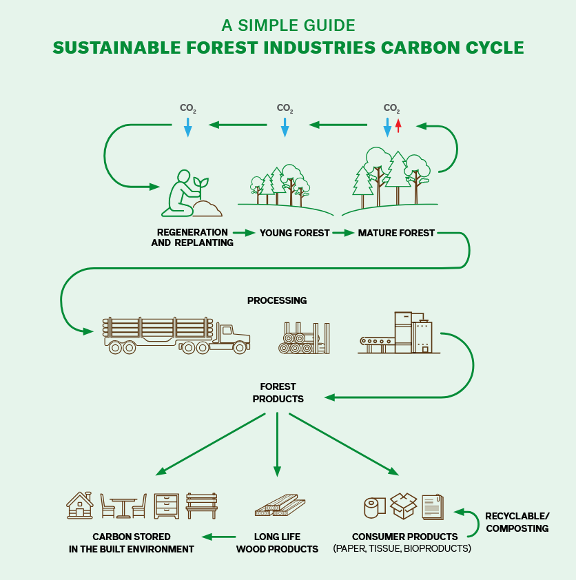 Forestry Supply Chain Flowchart